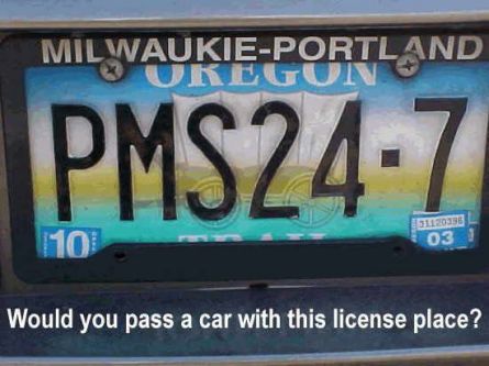 Funny Picture - A Woman's License Plate