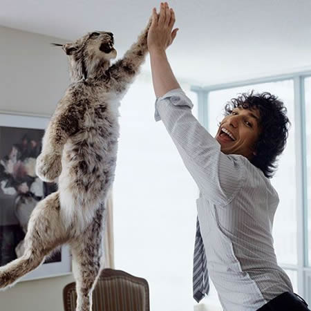 Funny Picture - High Five