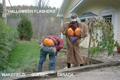 Funny Picture - Halloween Flashers