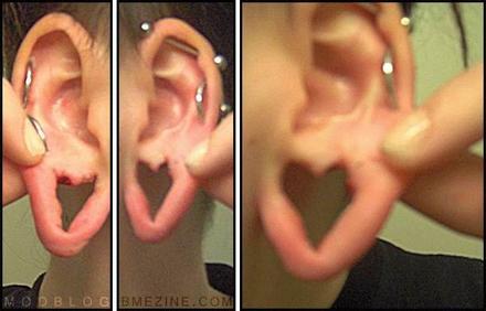 Funny Picture - Heart Gauged Ear