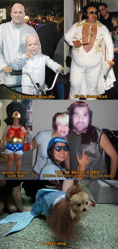 Funny Picture - More Funny Halloween Costumes