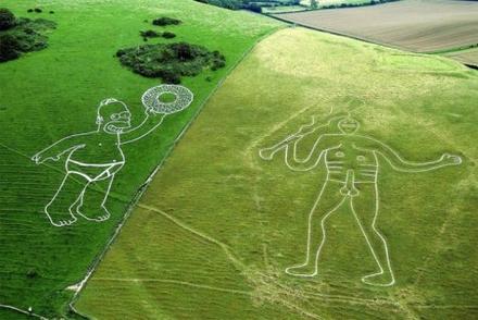 Funny Picture - Homer Crop Circle