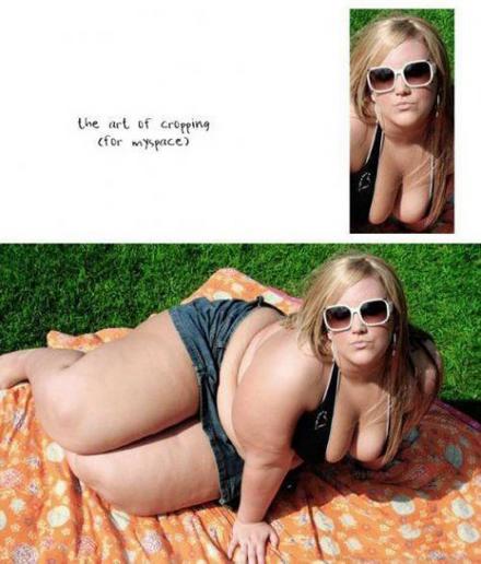 Funny Picture - The Art Of Cropping