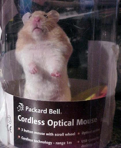 Funny Picture - Cordless Optical Mouse