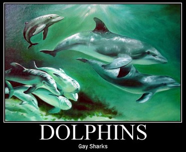 Funny Picture - Dolphins Are Just Gay Sharks