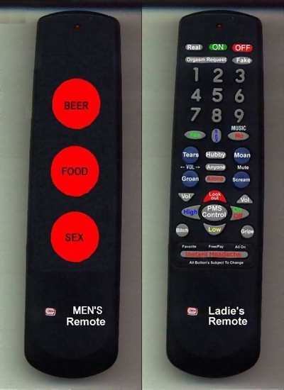 Funny Picture - Male and Female Remotes