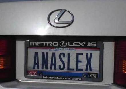 Funny Picture - Dislexic License Plate