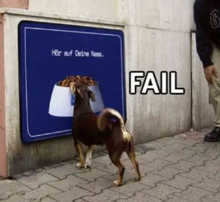 Funny Picture - Dog Food Fail
