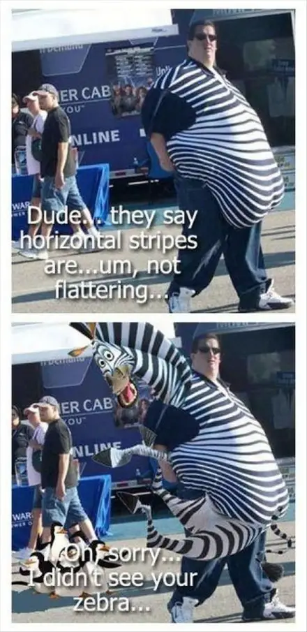 Funny Picture - Zebra Stripes
