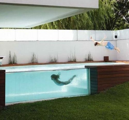Funny Picture - Sweet Pool