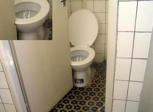 Funny Picture - Perfectly Designed Washroom