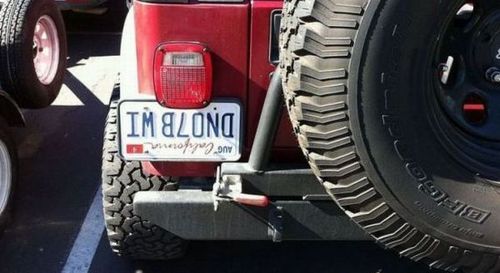 Funny Picture - Blonde License Plate