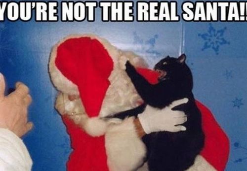 Funny Picture - Santa Attack