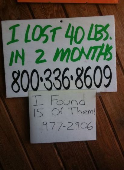 Funny Picture - Lost And Found