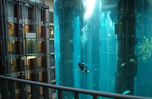 Funny Picture - Diving On A Cruise Ship