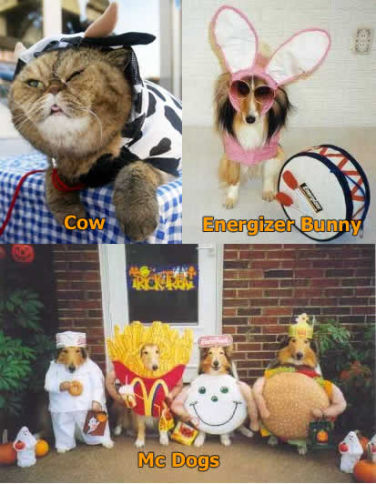 Funny Picture - Animal Halloween Costumes