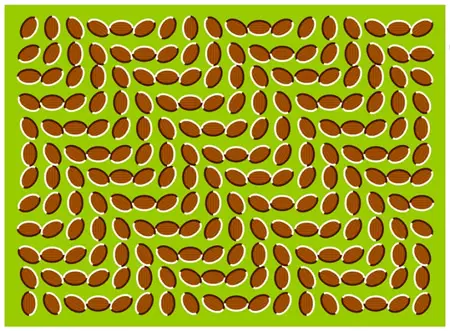 Funny Picture - Optical Illusion