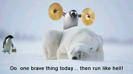 Funny Picture - One Brave Thing