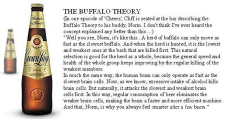 Funny Picture - The Buffalo Theory