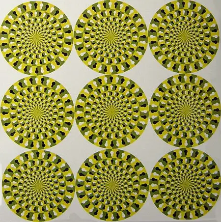 Funny Picture - A Trippy Illusion
