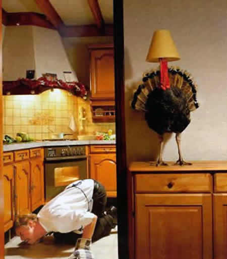 Funny Picture - Christmas Dinner Recipes