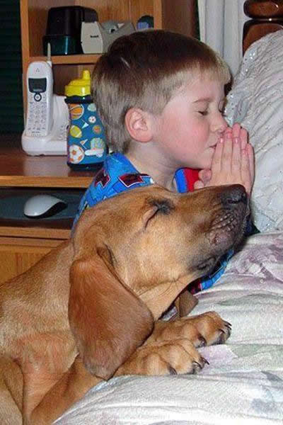 Funny Picture - Don't Forget Your Prayers