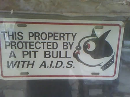 Funny Picture - Protection