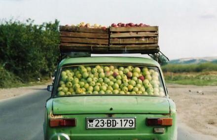 Funny Picture - Enough Apples?