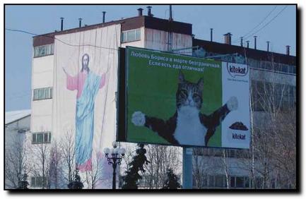 Funny Picture - Cat Vs Jesus