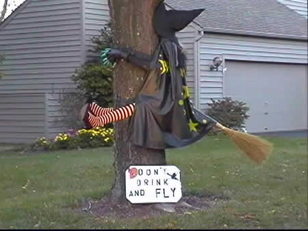 Funny Picture - Don't Drink And Fly!