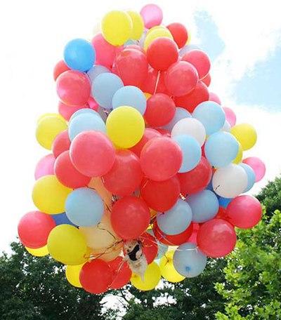 Funny Picture - Doggy Balloon Ride