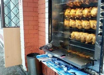 Funny Picture - Cannibal Pigeon