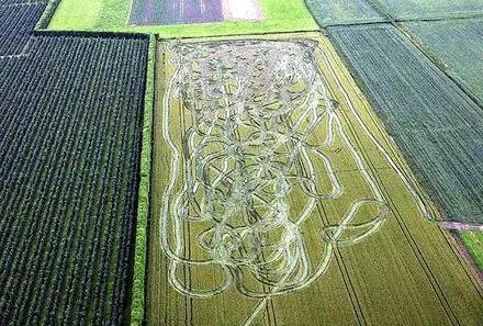 Funny Picture - Nice Job There, Farmer Man