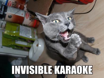 Funny Picture - Invisible Karaoke