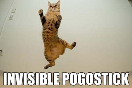 Funny Picture - Invisible Pogostick!