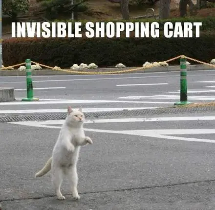 Funny Picture - Invisible Shopping Cart!