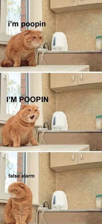 Funny Picture - I'm Poopin!!