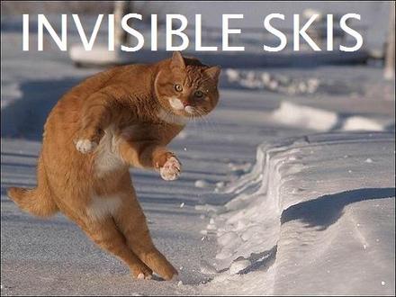 Funny Picture - Invisible Skis