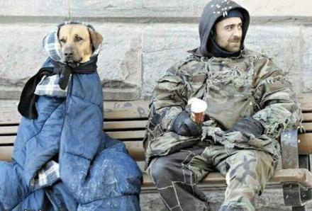 Funny Picture - Man's Best Friend