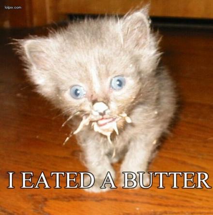 Funny Picture - I Eated A Butter!