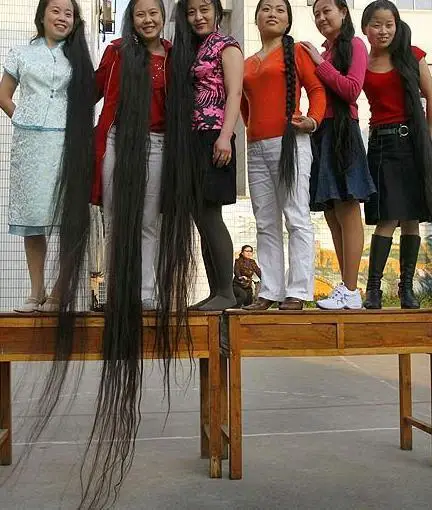 Funny Picture - World's Longest Hair