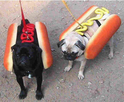 Funny Picture - Hot Dogs