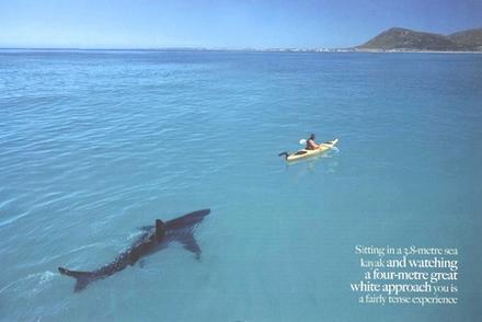 Funny Picture - Why I Don't Kayak