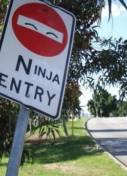 Funny Picture - Ninja Entry