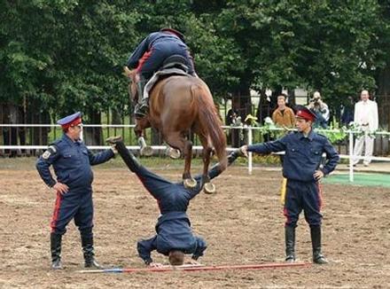 Funny Picture - Horse Jumps Man