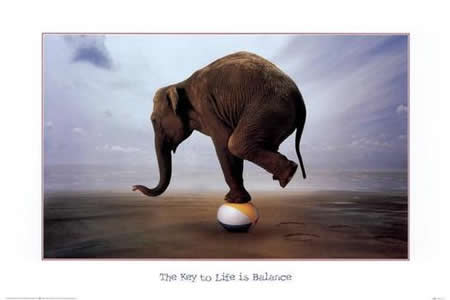 Funny Picture - The Key To Life Is Balance