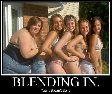 Funny Picture - Just Can't Blend In