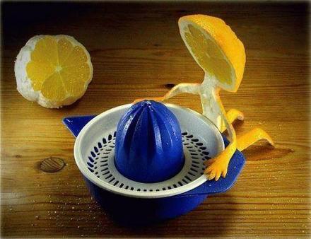Funny Picture - Lemon Suicide