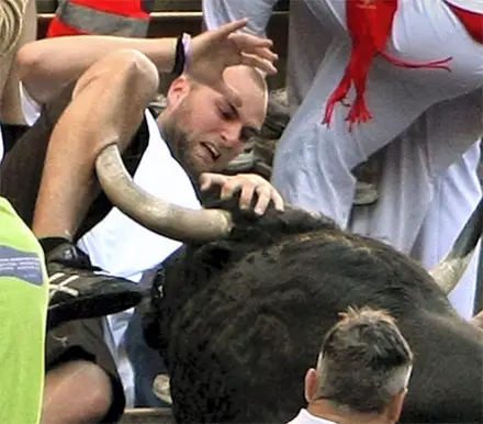 Funny Picture - Grabbing The Bull By The Horns