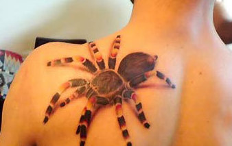 Funny Picture - Creepy Tarantula Tattoo